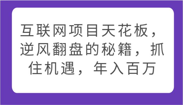 互联网项目天花板，逆风翻盘的秘籍，抓住机遇，年入百万-1号库创业圈