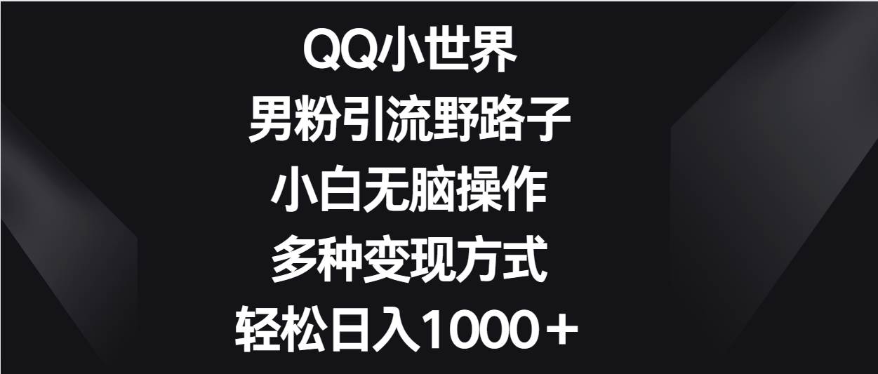 QQ小世界男粉引流野路子，小白无脑操作，多种变现方式轻松日入1000＋-1号库创业圈