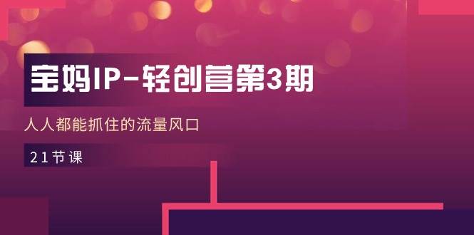 宝妈IP轻创营第3期，人人都能抓住的流量风口（21节课）-1号库创业圈