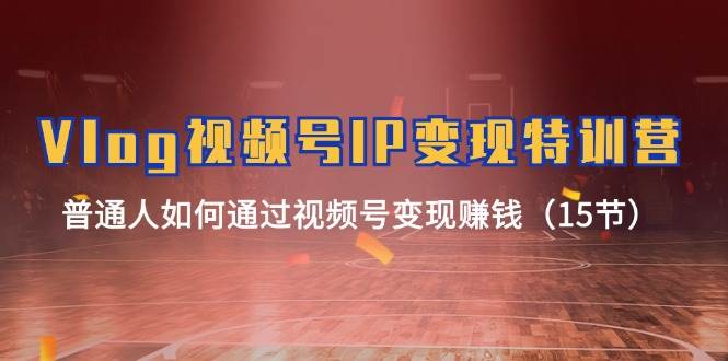 Vlog视频号IP变现特训营，普通人如何通过视频号变现赚钱（15节）-1号库创业圈
