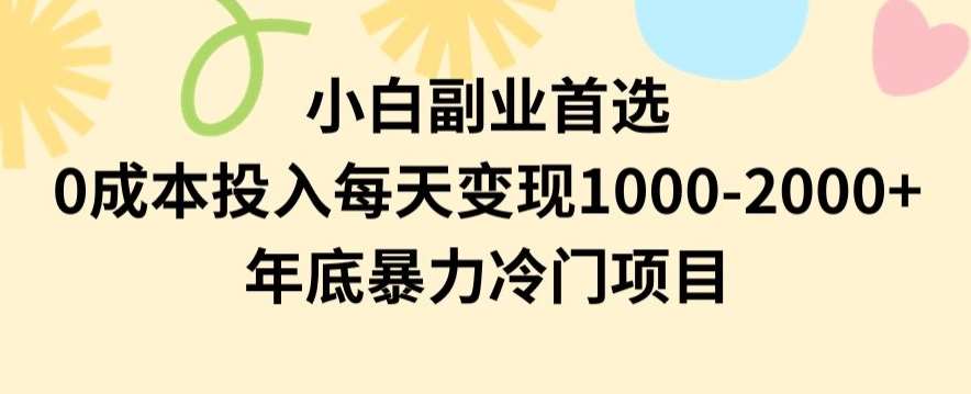小白副业首选，0成本投入，每天变现1000-2000年底暴力冷门项目【揭秘】-问小徐资源库