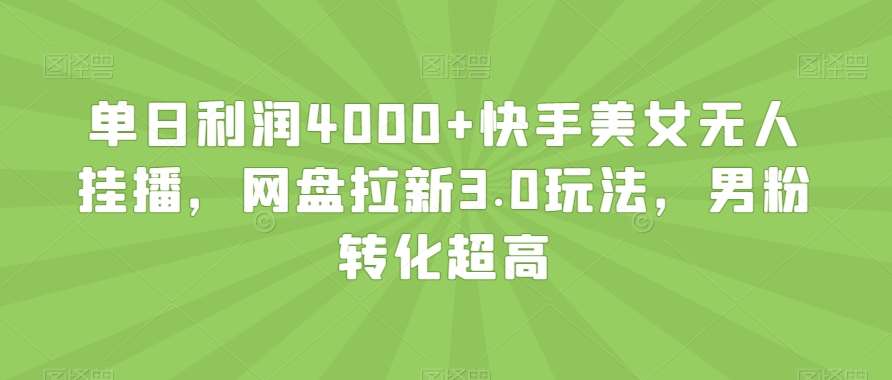 单日利润4000+快手美女无人挂播，网盘拉新3.0玩法，男粉转化超高【揭秘】-1号库创业圈