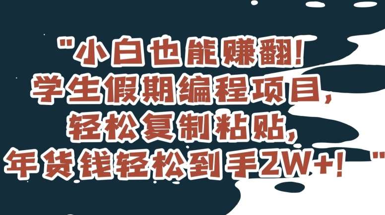 小白也能赚翻！学生假期编程项目，轻松复制粘贴，年货钱轻松到手2W+【揭秘】-1号库创业圈