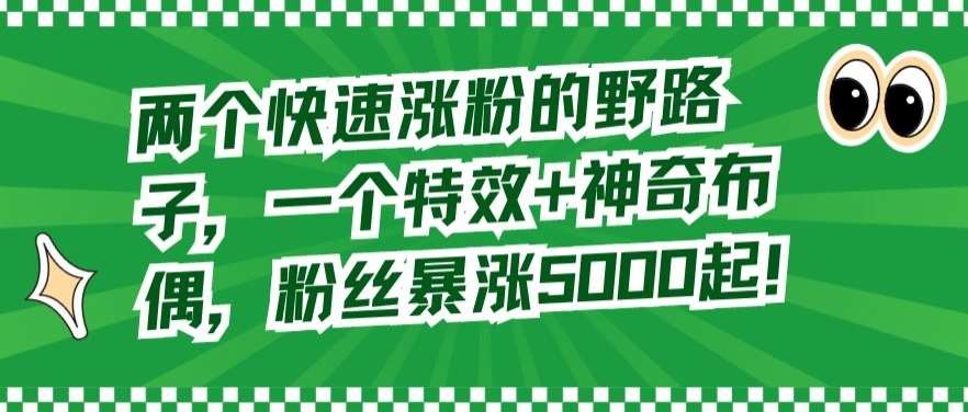 两个快速涨粉的野路子，一个特效+神奇布偶，粉丝暴涨5000起【揭秘】-1号库创业圈