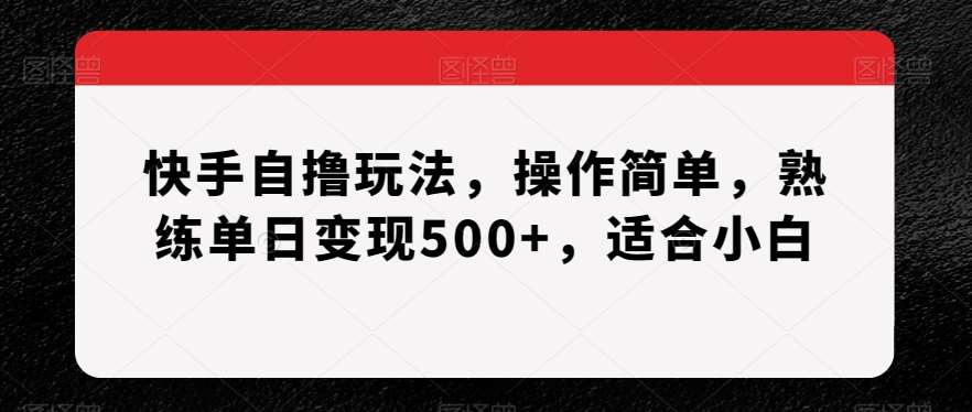 快手自撸玩法，操作简单，熟练单日变现500+，适合小白【揭秘】-问小徐资源库