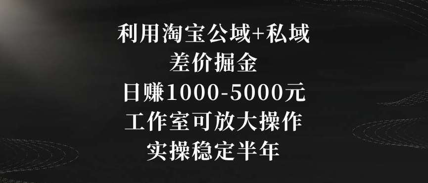 利用淘宝公域+私域差价掘金，日赚1000-5000元，工作室可放大操作，实操稳定半年【揭秘】-1号库创业圈