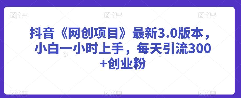 抖音《网创项目》最新3.0版本，小白一小时上手，每天引流300+创业粉【揭秘】-1号库创业圈
