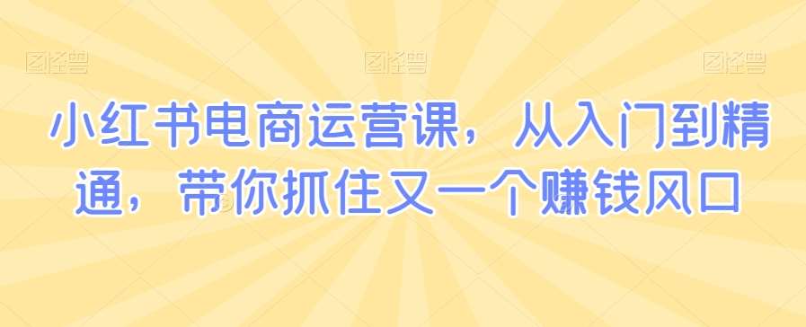 小红书电商运营课，从入门到精通，带你抓住又一个赚钱风口-1号库创业圈