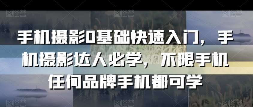 手机摄影0基础快速入门，手机摄影达人必学，不限手机任何品牌手机都可学-1号库创业圈