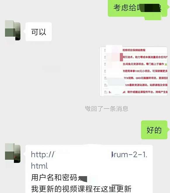 图片[2]-小彬网虚拟资源网站培训课程，如何一个月快速做出盈利的资源网站（实打实经验）-1号库创业圈
