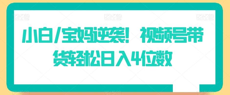 小白/宝妈逆袭！视频号带货轻松日入4位数【揭秘】-1号库创业圈