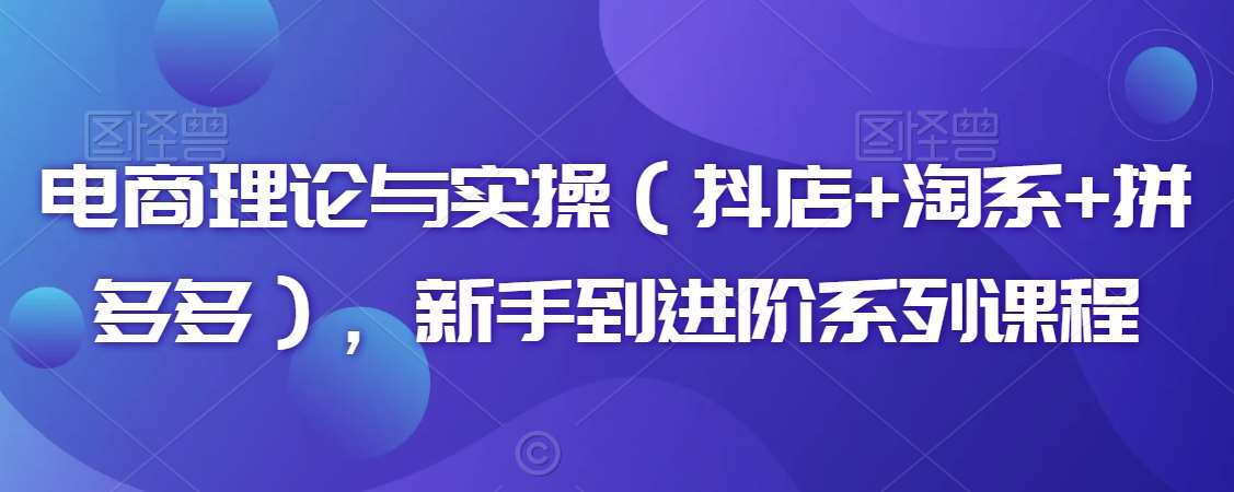 电商理论与实操（抖店+淘系+拼多多），新手到进阶系列课程-1号库创业圈