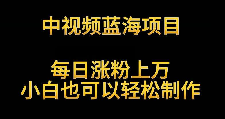 中视频蓝海项目，解读英雄人物生平，每日涨粉上万，小白也可以轻松制作，月入过万不是梦【揭秘】-1号库创业圈
