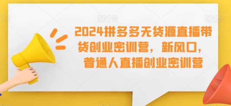 2024拼多多无货源直播带货创业密训营，新风口，普通人直播创业密训营-1号库创业圈
