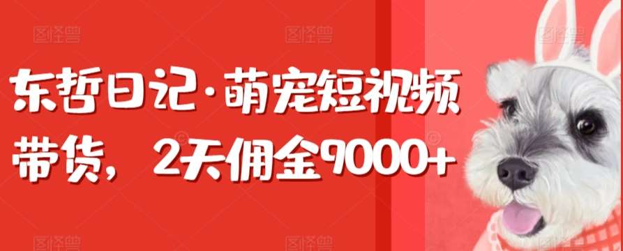 东哲日记·萌宠短视频带货，2天佣金9000+-1号库创业圈