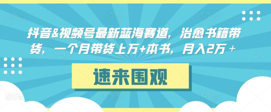 抖音&视频号最新蓝海赛道，治愈书籍带货，一个月带货上万+本书，月入2万＋【揭秘】-1号库创业圈