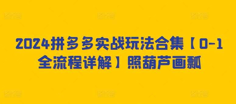 2024拼多多实战玩法合集【0-1全流程详解】照葫芦画瓢-1号库创业圈