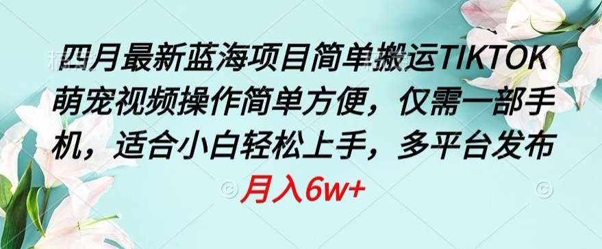 四月最新蓝海项目，简单搬运TIKTOK萌宠视频，操作简单方便，仅需一部手机【揭秘】-1号库创业圈