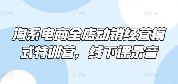 淘系电商全店动销经营模式特训营，线下课录音-1号库创业圈