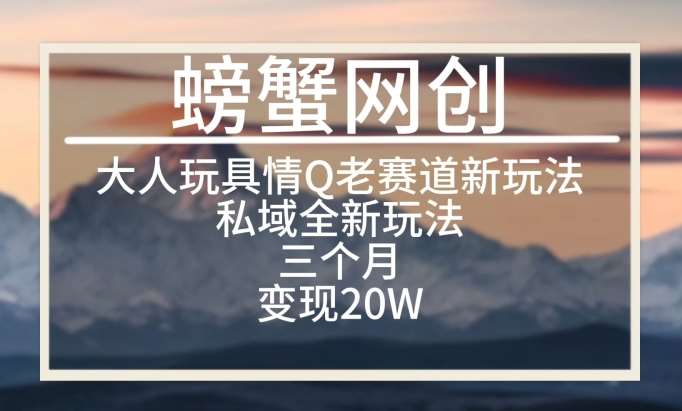 大人玩具情Q用品赛道私域全新玩法，三个月变现20W，老项目新思路【揭秘】-1号库创业圈