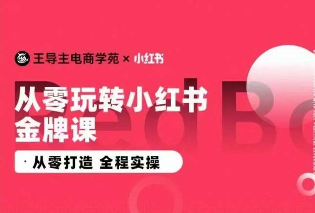 王导主·小红书电商运营实操课，​从零打造  全程实操-1号库创业圈