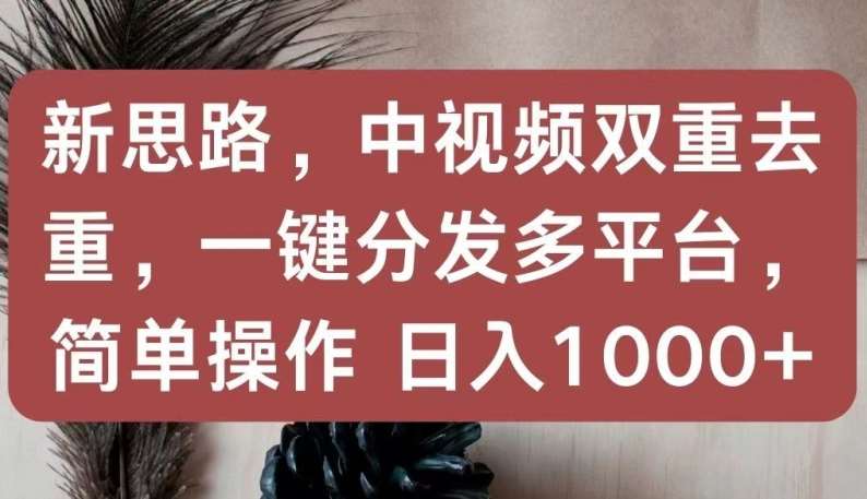 新思路，中视频双重去重，一键分发多平台，简单操作，日入1000+【揭秘】-1号库创业圈