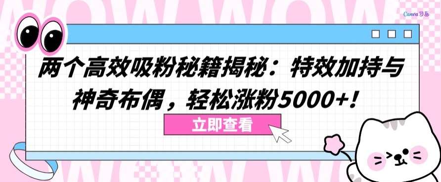 两个高效吸粉秘籍揭秘：特效加持与神奇布偶，轻松涨粉5000+【揭秘】-1号库创业圈