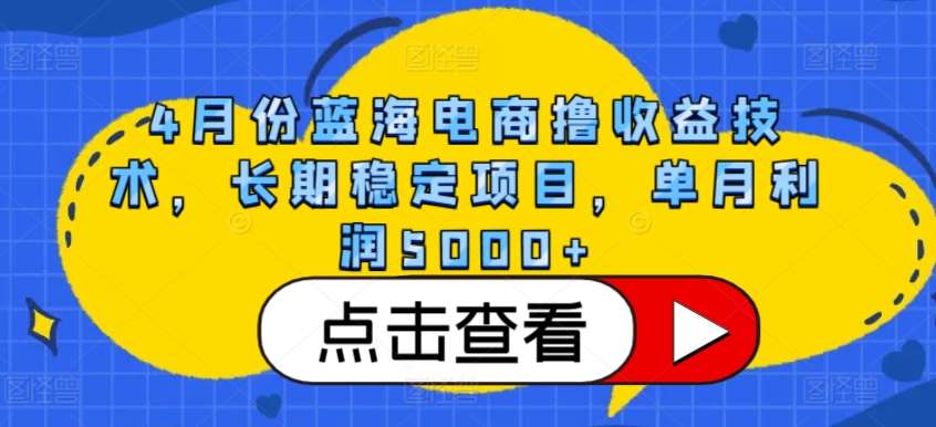 4月份蓝海电商撸收益技术，长期稳定项目，单月利润5000+【揭秘】-1号库创业圈