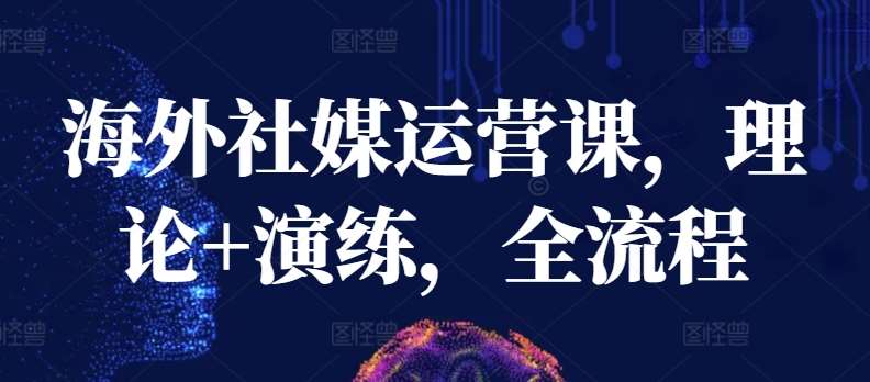 海外社媒运营课，理论+演练，全流程-1号库创业圈