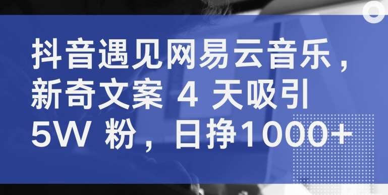 抖音遇见网易云音乐，新奇文案 4 天吸引 5W 粉，日挣1000+【揭秘】-1号库创业圈