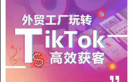 外贸工厂玩转TikTok高效获客，多种引流方式与账号定位技巧，拆解爆款短视频打造成功案例-1号库创业圈