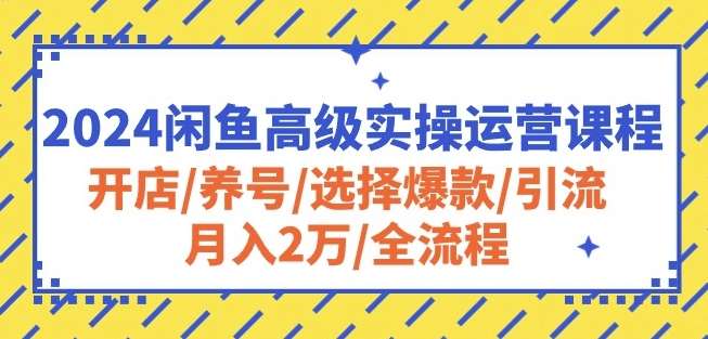 2024闲鱼高级实操运营课程：开店/养号/选择爆款/引流/月入2万/全流程-1号库创业圈