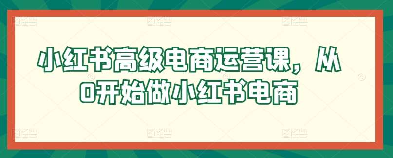 小红书高级电商运营课，从0开始做小红书电商-1号库创业圈