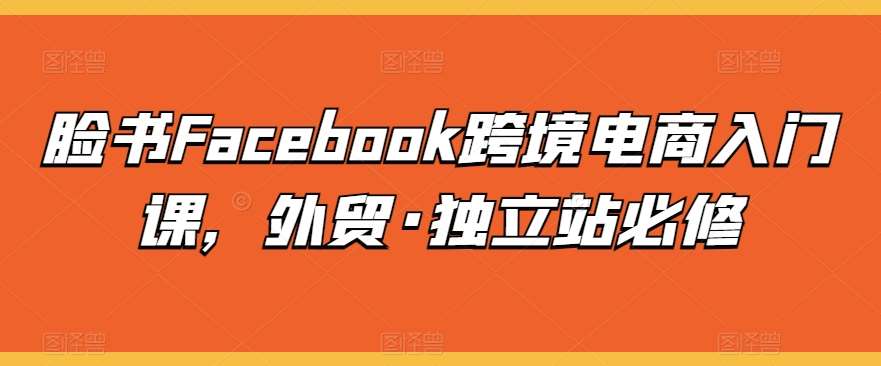 脸书Facebook跨境电商入门课，外贸·独立站必修-1号库创业圈