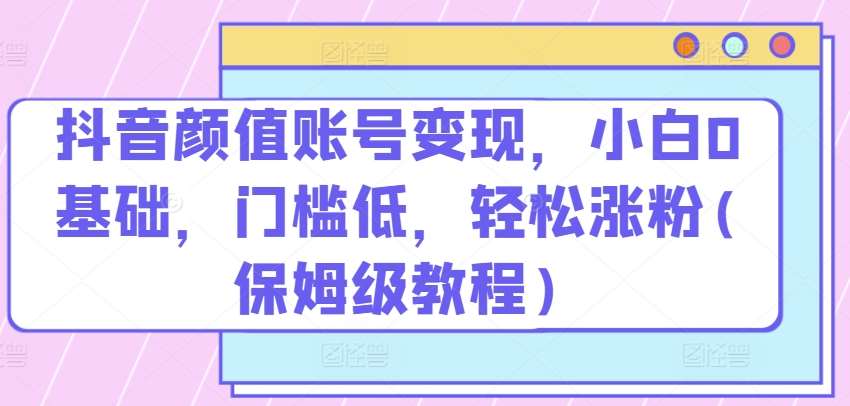 抖音颜值账号变现，小白0基础，门槛低，​轻松涨粉(保姆级教程)【揭秘】-1号库创业圈
