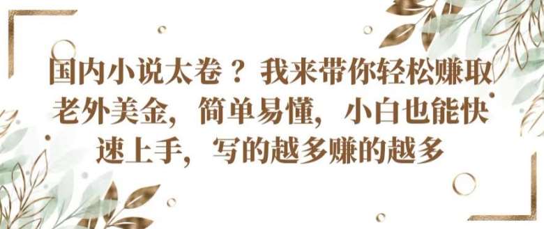 国内小说太卷 ?带你轻松赚取老外美金，简单易懂，小白也能快速上手，写的越多赚的越多【揭秘】-1号库创业圈