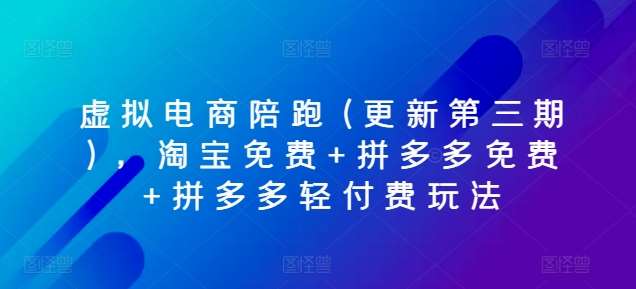 虚拟电商陪跑(更新第三期)，淘宝免费+拼多多免费+拼多多轻付费玩法-1号库创业圈