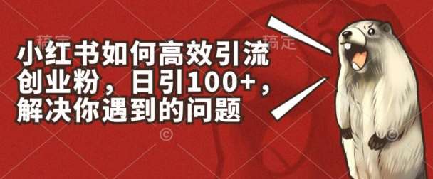 小红书如何高效引流创业粉，日引100+，解决你遇到的问题【揭秘】-1号库创业圈