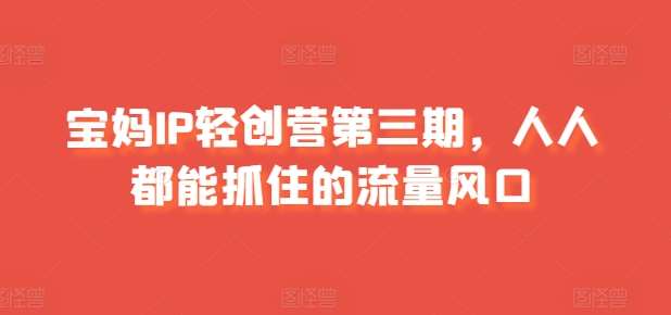 宝妈IP轻创营第三期，人人都能抓住的流量风口-问小徐资源库
