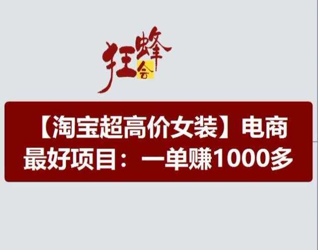 淘宝超高价女装项目，电商最好赛道，一单赚1000多-1号库创业圈