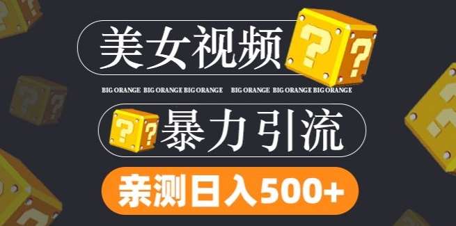 搬运tk美女视频全网分发，日引s粉300+，轻松变现，不限流量不封号【揭秘】-1号库创业圈
