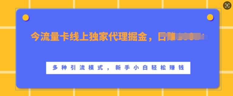 流量卡线上独家代理掘金，日入1k+ ，多种引流模式，新手小白轻松上手【揭秘】-1号库创业圈