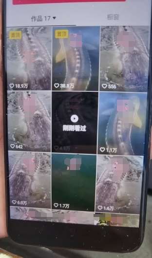 图片[2]-外面卖399的国学佛像原创暴力起号技术，快速起号，7天可达到一个万粉号-1号库创业圈