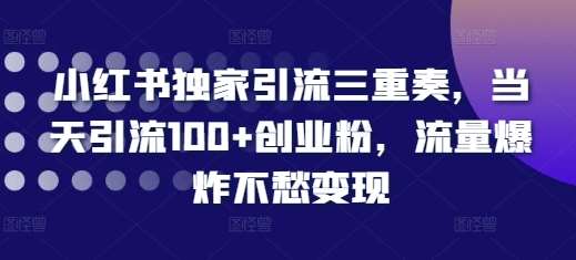 小红书独家引流三重奏，当天引流100+创业粉，流量爆炸不愁变现【揭秘】-1号库创业圈