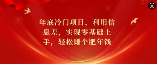 年底冷门项目，利用信息差，实现零基础上手，轻松赚个肥年钱【揭秘】-1号库创业圈