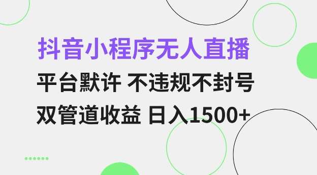 抖音小程序无人直播 平台默许 不违规不封号 双管道收益 日入多张 小白也能轻松操作【仅揭秘】-1号库创业圈