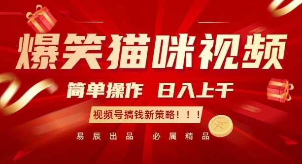 爆笑猫咪视频：简单操作，日入过K，视频号搞钱新策略【揭秘】-1号库创业圈