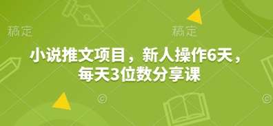 小说推文项目，新人操作6天，每天3位数分享课-1号库创业圈