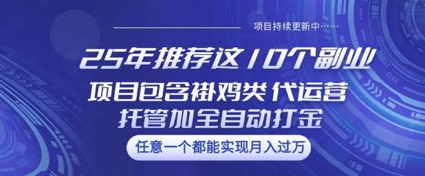 25年推荐这10个副业项目包含褂鸡类、代运营托管类、全自动打金类【揭秘】-1号库创业圈