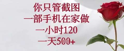 你只管截图，一部手机在家做，苹果安卓都可以，一小时120，一天5张+【揭秘】-问小徐资源库